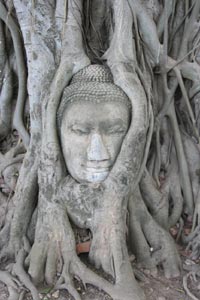 Buddha's Face in Tree Roots, Thailand