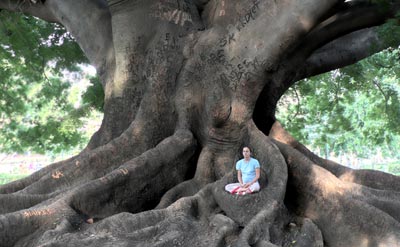Girl sitting in Bombacaceae tree, Bangalore, India